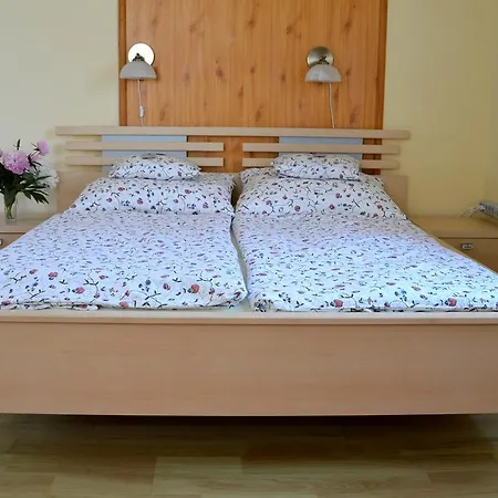 Πανσιόν Florianus Vendeghaz 3*