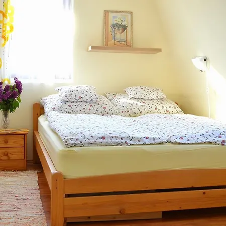 Florianus Vendeghaz 招待所 Berekfürdő