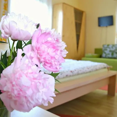 招待所 Florianus Vendeghaz