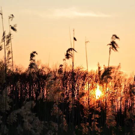 招待所 Florianus Vendeghaz 3*