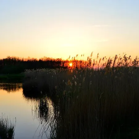 Florianus Vendeghaz 3* Berekfürdő