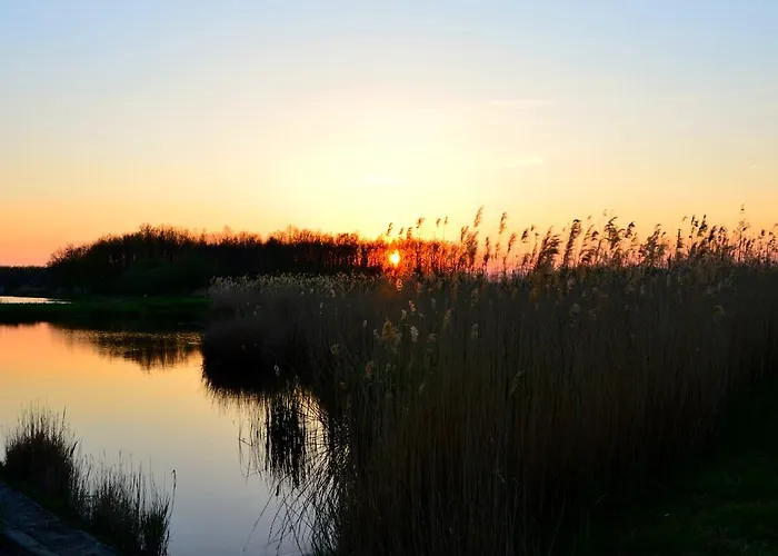 Florianus Vendeghaz 3* Berekfürdő